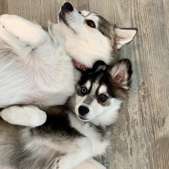 TOP Quality Items Only at Buy It Now Prices💃😎 - Picture 2 of 11